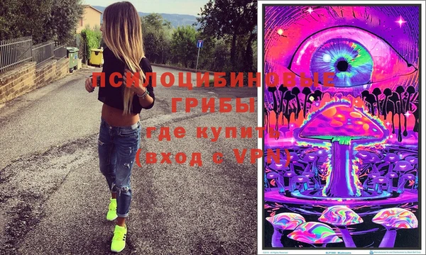 бошки Лабытнанги