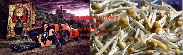 бошки Лабытнанги