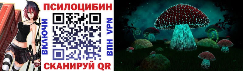 Псилоцибиновые грибы Psilocybine cubensis Мелеуз
