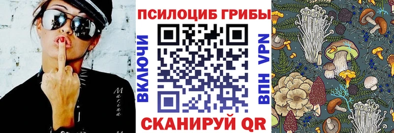 Псилоцибиновые грибы прущие грибы  купить закладку  Мелеуз 
