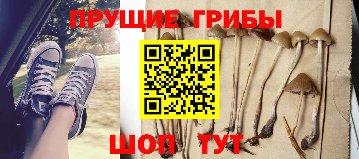 Псилоцибиновые грибы прущие грибы Мелеуз