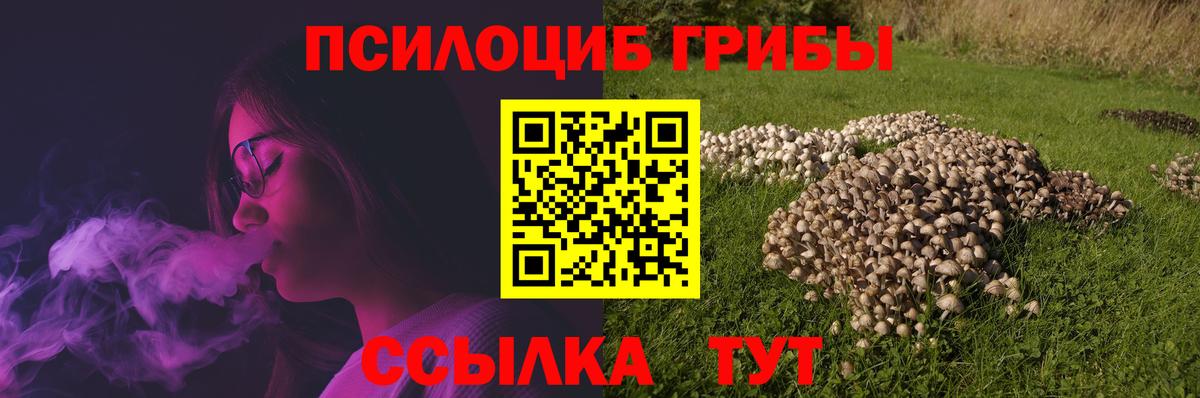 Галлюциногенные грибы GOLDEN TEACHER Мелеуз