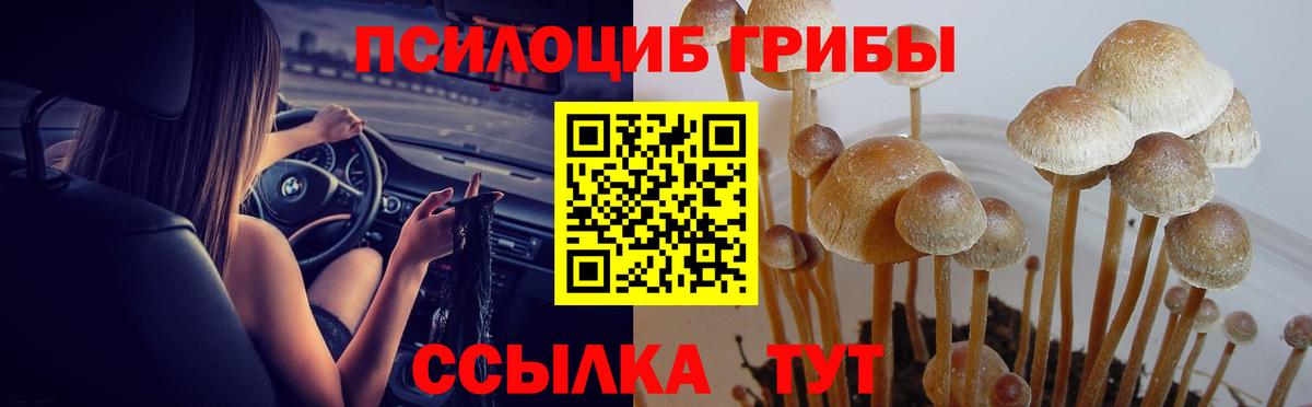 Мелеуз  купить наркоту  Вход с VPN  Галлюциногенные грибы мицелий 